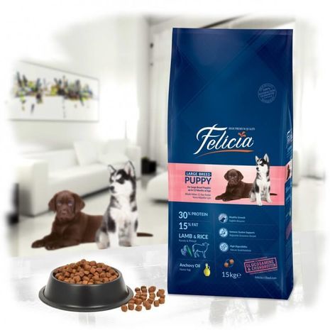 Felicia Puppy Large Breed Lamb Rice