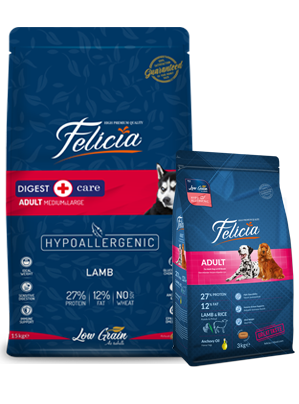 Felicia Adult Dog lamb Rice-15kg