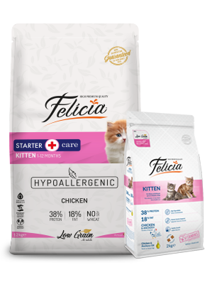 Felicia Low Grain Kitten Cat Food With Lamb