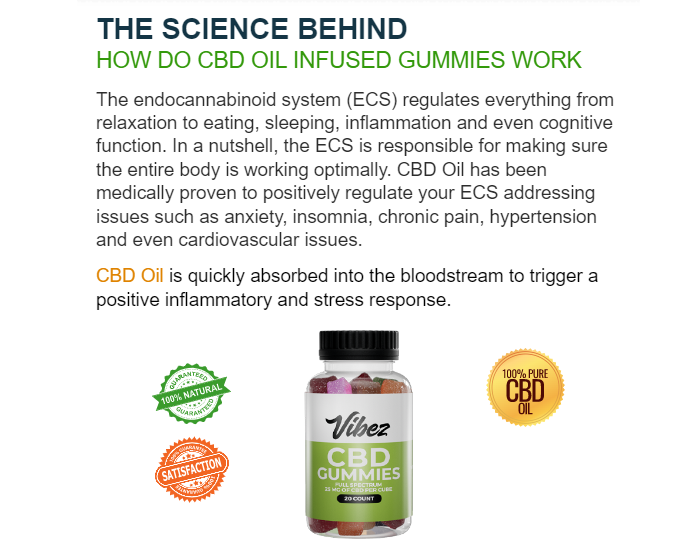 Vibez CBD Full Spectrum Gummies 